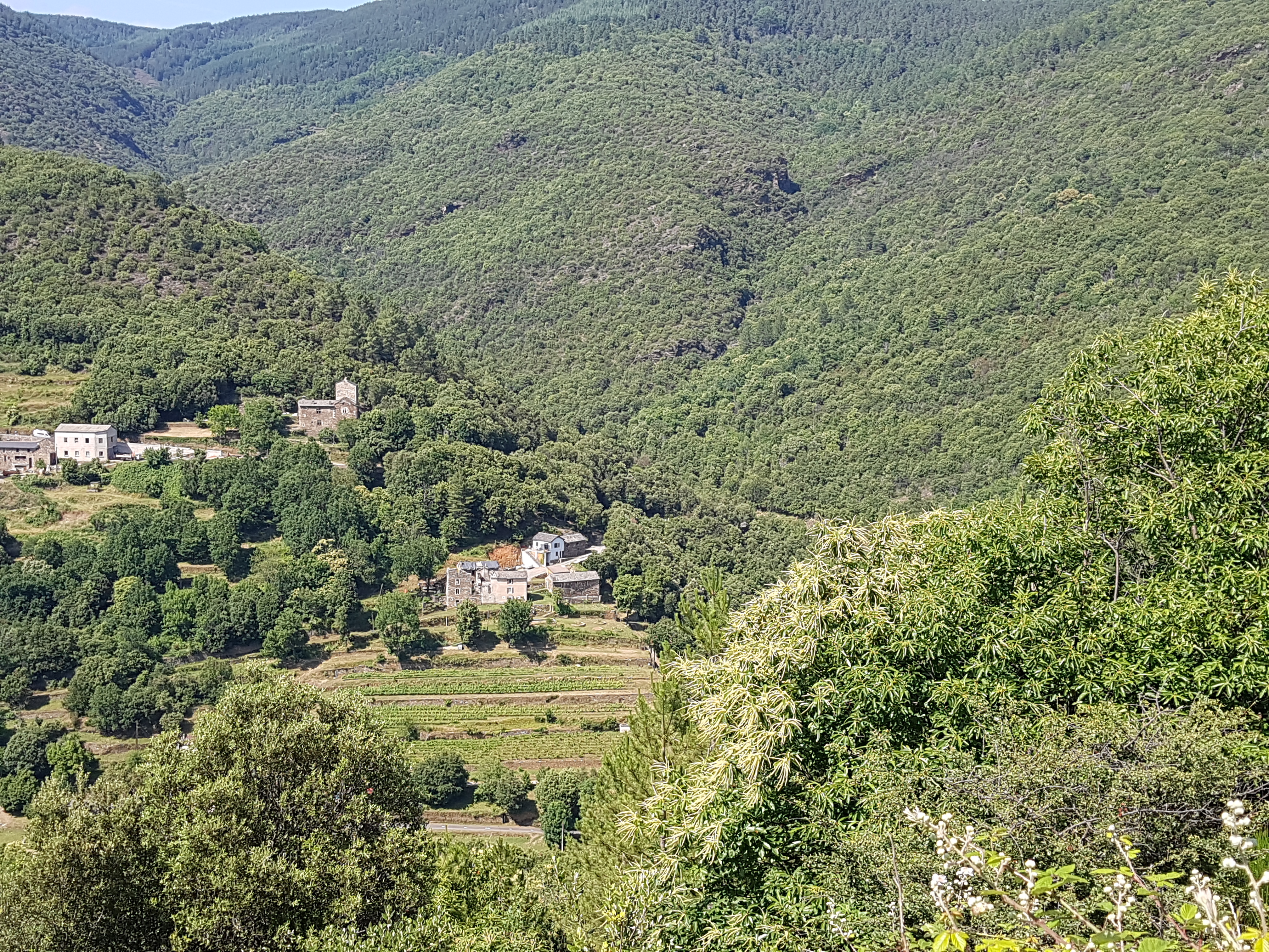 © Clos de la Rouvière