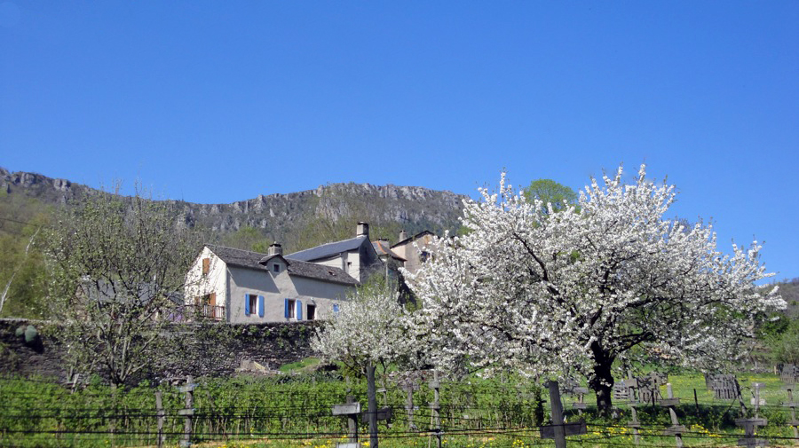 © Ferme de Salièges