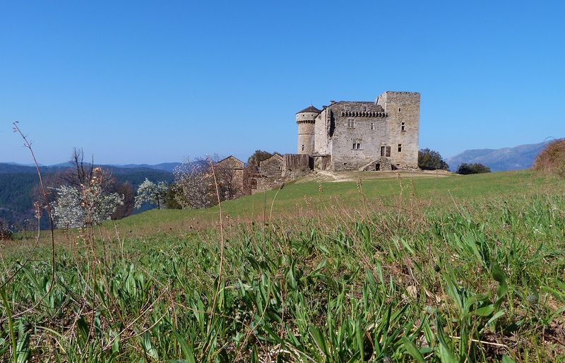 Château d'Aujac