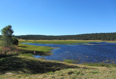 Etang de Barrandon