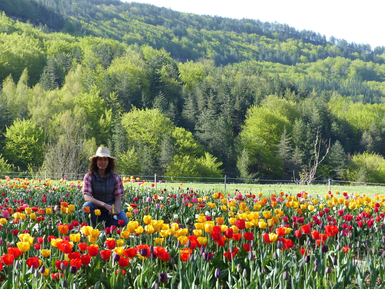 Jardin paysage de la Ferme de Solpérières