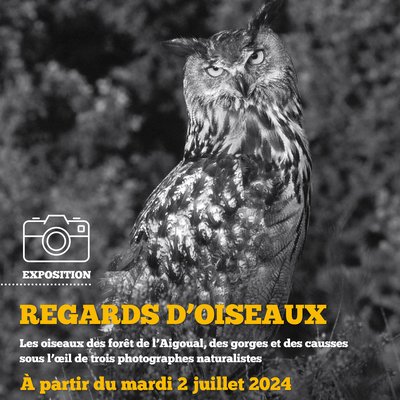 Exposition Regards d'Oiseaux