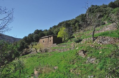 La Roquette, Molezon 