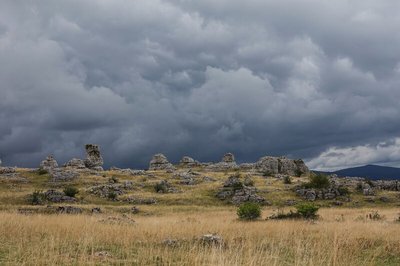 Causse Méjean