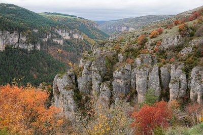 Bordure du causse Méjean