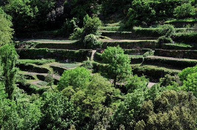 Quartier des Calquières à Saint-Germain-de-Calberte, bancels et jardins