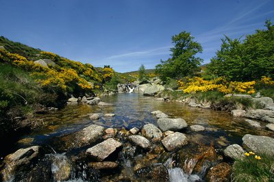 Le Tarn, près de mas Camargues