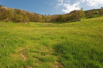 Prairie vers l'Hermet