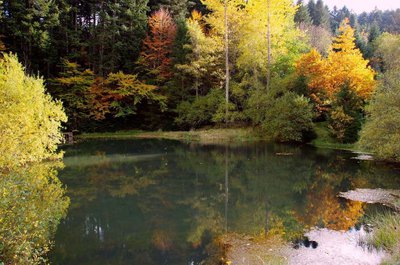 Réservoir d'eau