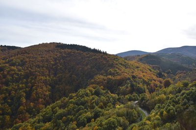 Vue sur la vallée du Trépalou