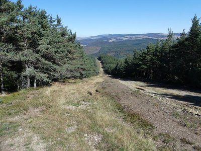 La Draille du Languedoc