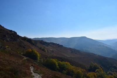 Descente vers Cassagnas à travers la lande