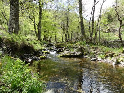 The streams walk - Destination Cévennes