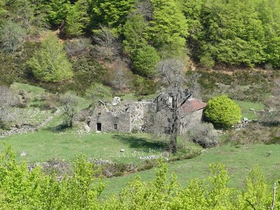 L'Abbaye de Notre-Dame-du-Bonheur