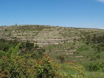 Les terrasses