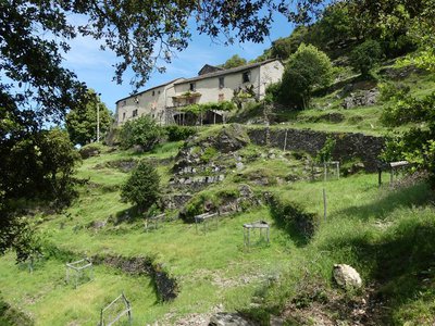 Le Bruguier-Haut