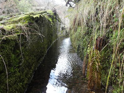 Béal du gardon