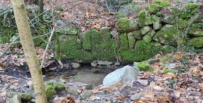 Tancat sur le ruisseau de Vallongue