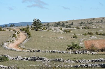 Chemin des bergers