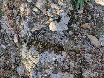 Trace de la chaussure cloutée