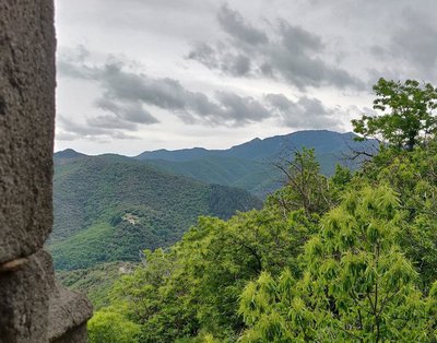 vue sur la châtaigneraie à St-Marcel