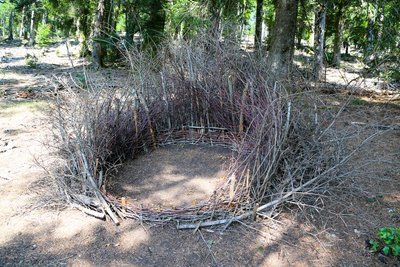 Nids (Céline Pialot)