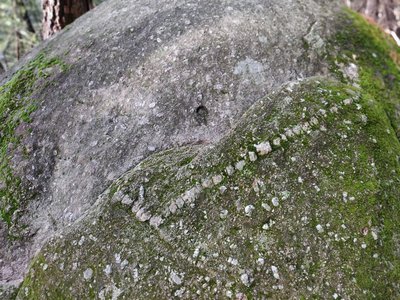 Granite du rocher de la lune