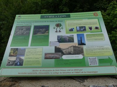 Sentier du Petit Pelous