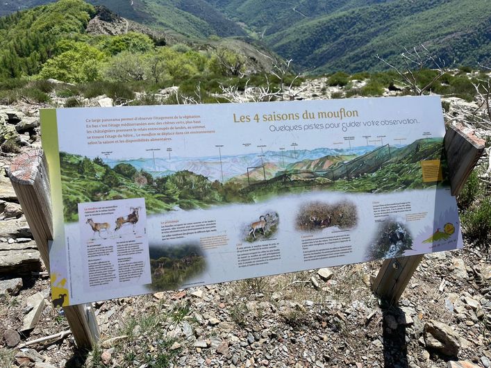Sentier des Moufflons