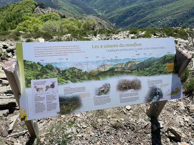 Sentier des Moufflons
