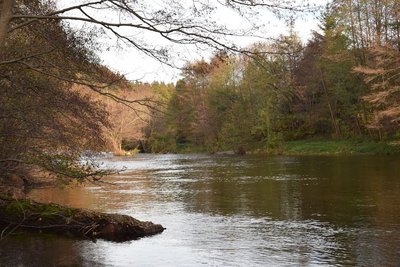 Le Tarn à Bédouès