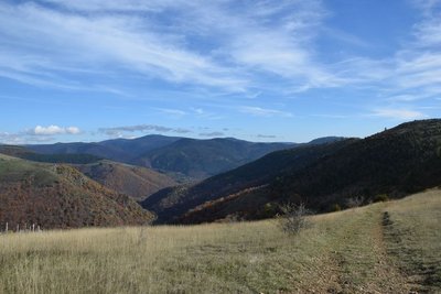 Bougès au loin