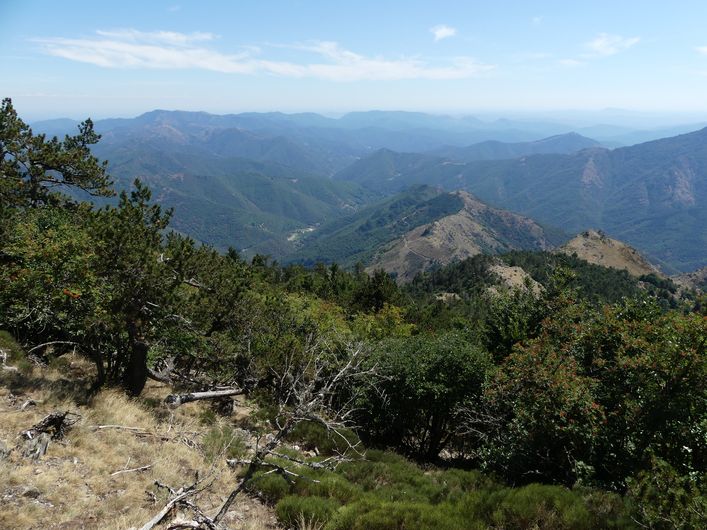 La vallée de l'Hérault