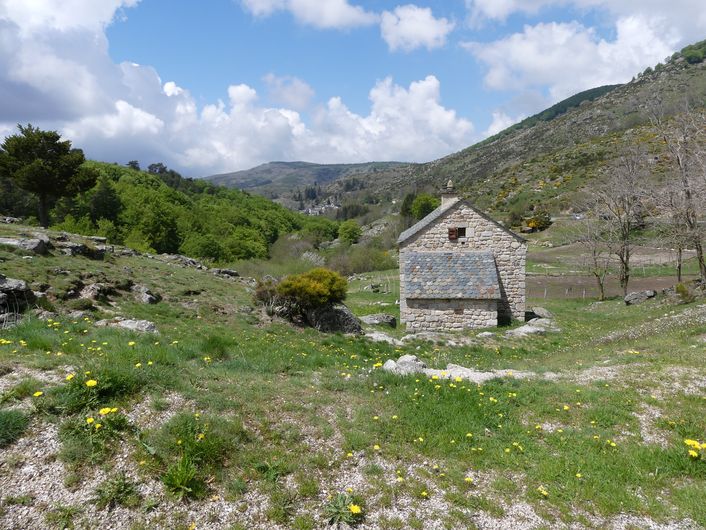 Le parc moutonnier