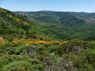 Vallée de la Dourbie