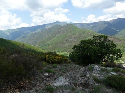 Vue sur l'Aigoual et ses contreforts