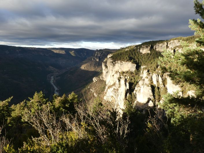 Les gorges du Tarn