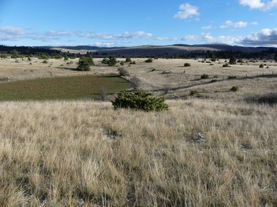 Paysage du Causse