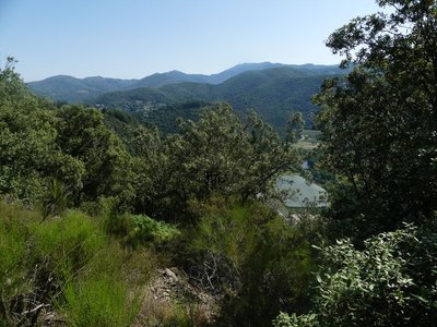 Vue sur la vallée de l'Hérault