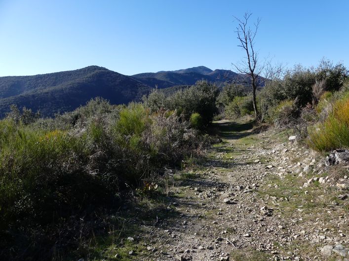 Vue sur le Liron