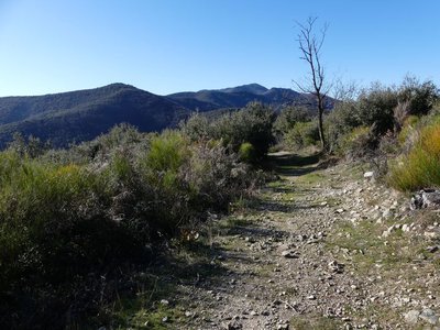 Vue sur le Liron