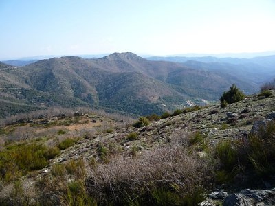 Vue des Cévennes