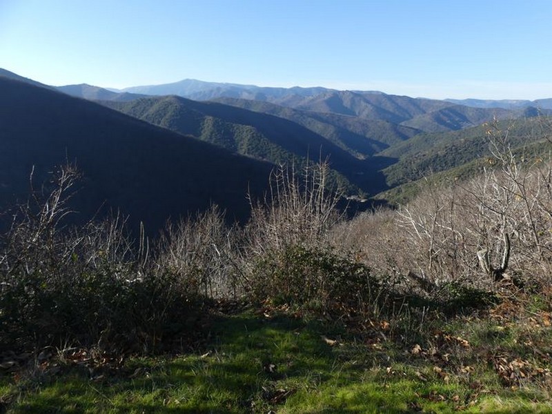 Vue dans la vallée des Plantiers