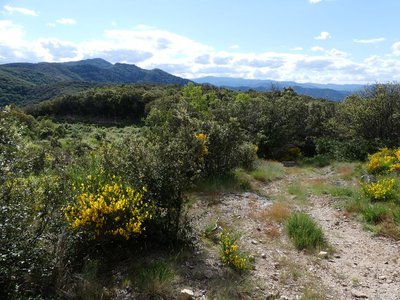 Vue sur le Mont Liron et l'Aigoual