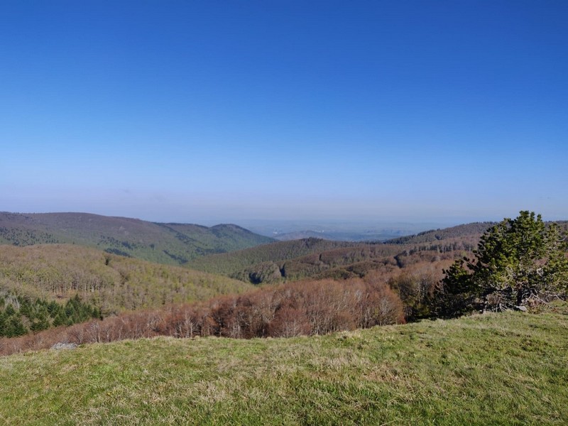 Le mont Aigoual