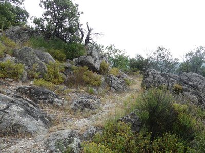 Chemin de Pratcoustal