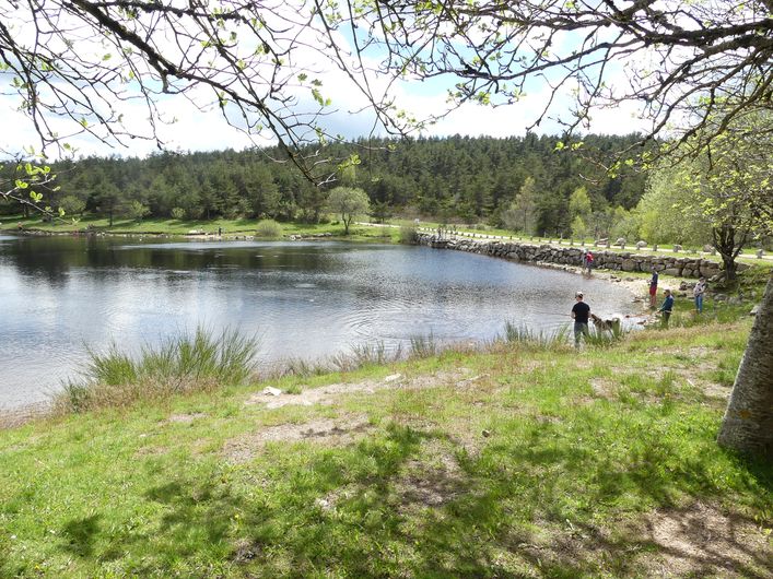 Etang de Barrandon