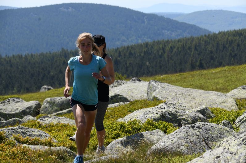 Traileurs sur le Mont Lozère