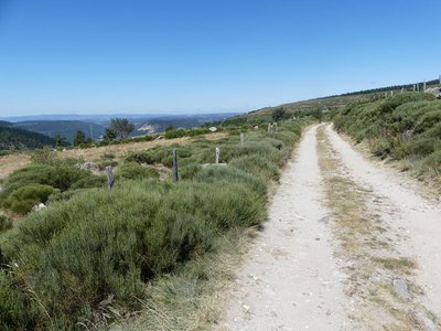 Paysage du mont Lozère