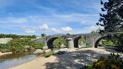 Pont du Tarn